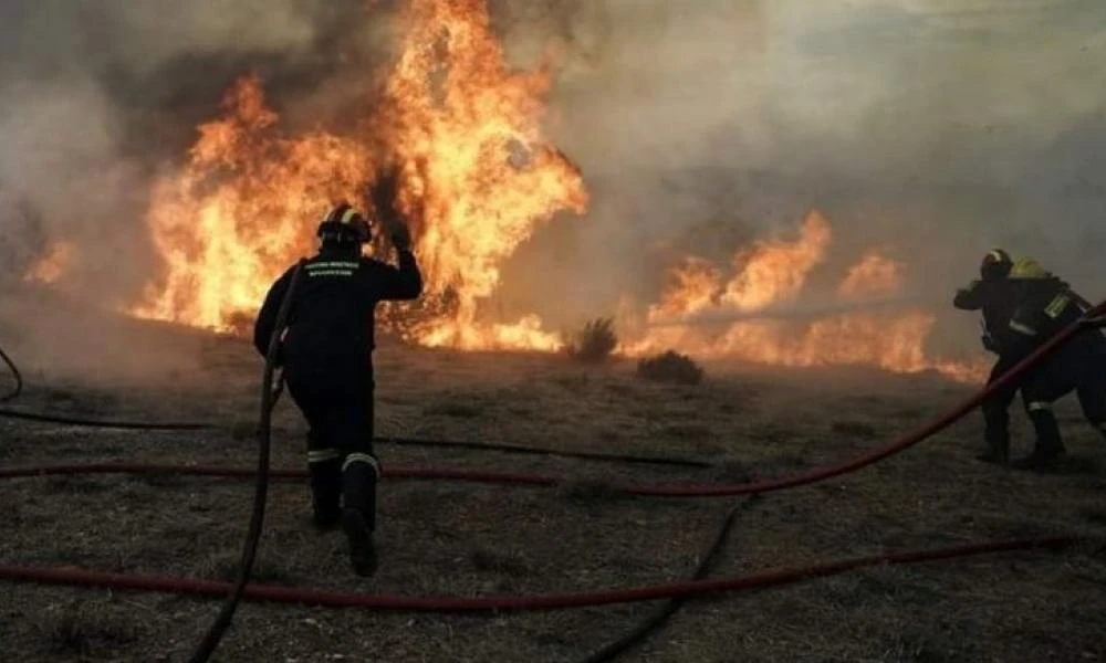 Φωτιά ξέσπασε σε χαμηλή βλάστηση την Ιεράπετρα Κρήτης